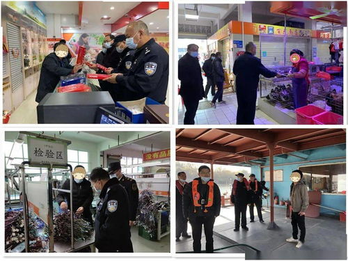 筑牢節日防線 英德開展打擊應節商品走私統一檢查行動，并借力體驗式拓展活動深化團隊協作與策略規劃