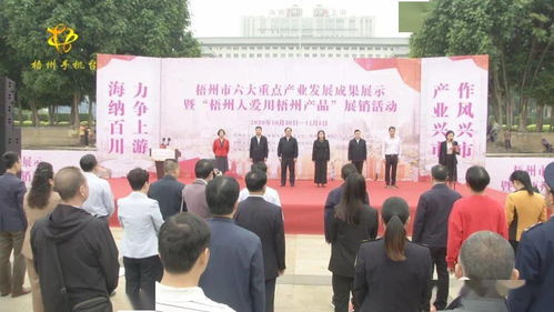 梧州六大重點產業成果閃耀，本土品牌展銷與文化交流共繪發展新篇